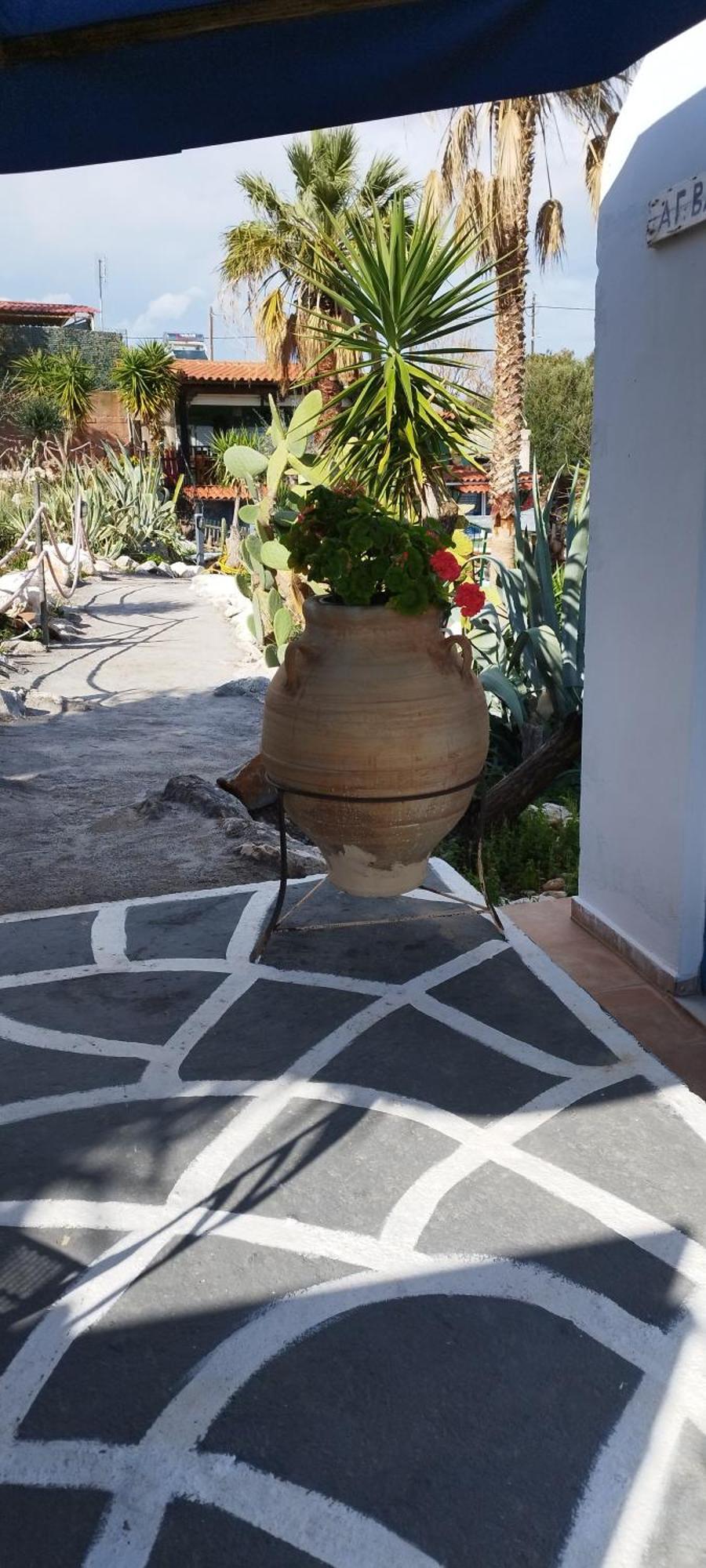 Kynosoura'S Sea View Διαμέρισμα Αμπελάκια Εξωτερικό φωτογραφία