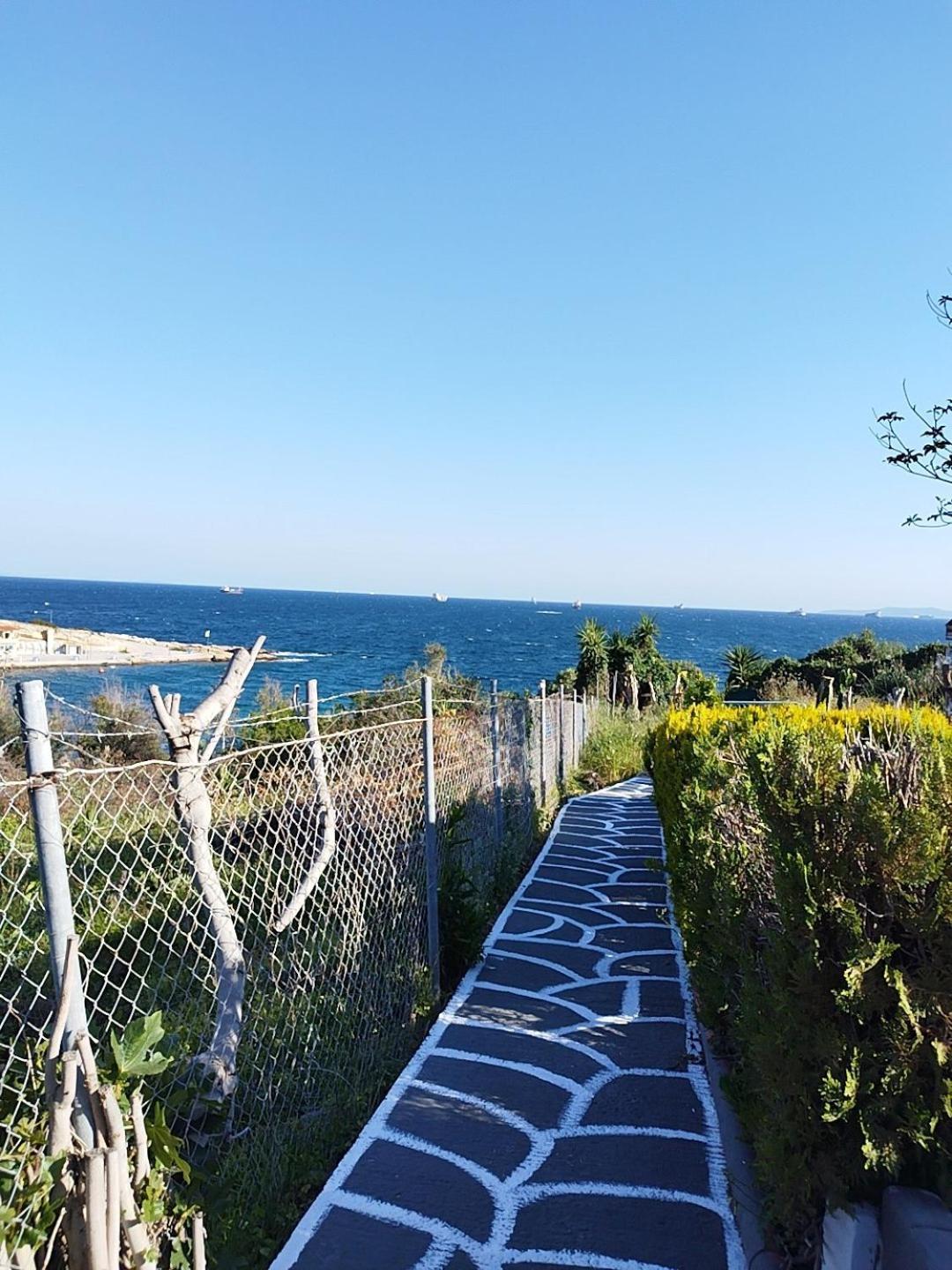 Kynosoura'S Sea View Διαμέρισμα Αμπελάκια Εξωτερικό φωτογραφία